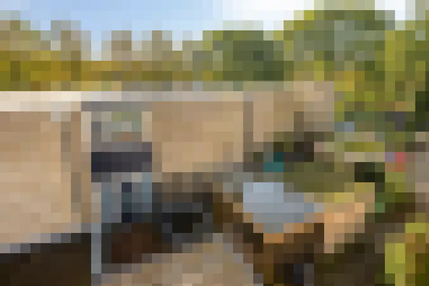 Rietdekkersdreef 320 Apeldoorn thumbnail 29