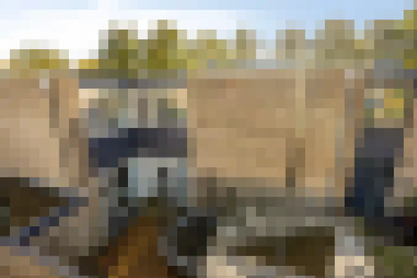 Rietdekkersdreef 320 Apeldoorn thumbnail 30