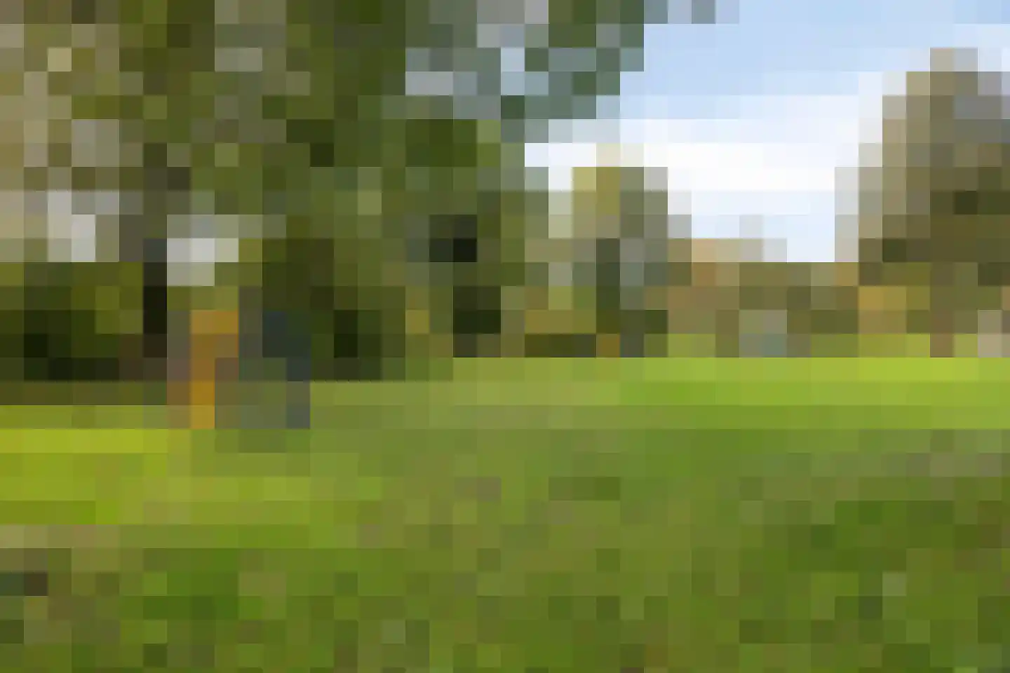 Rietdekkersdreef 320 Apeldoorn thumbnail 36