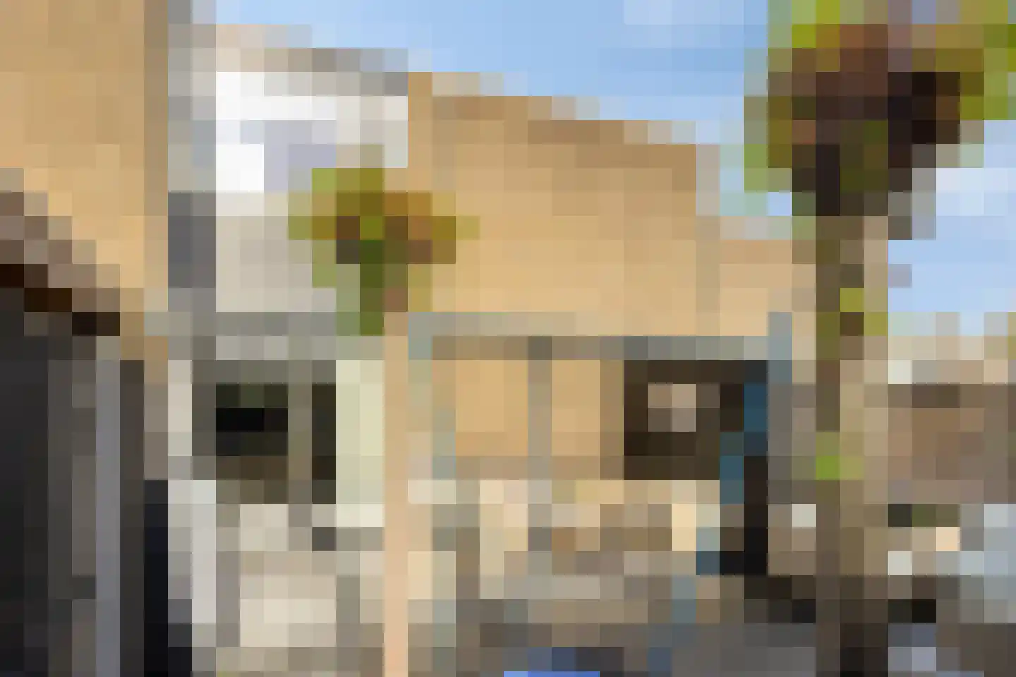 Rietdekkersdreef 320 Apeldoorn thumbnail 4