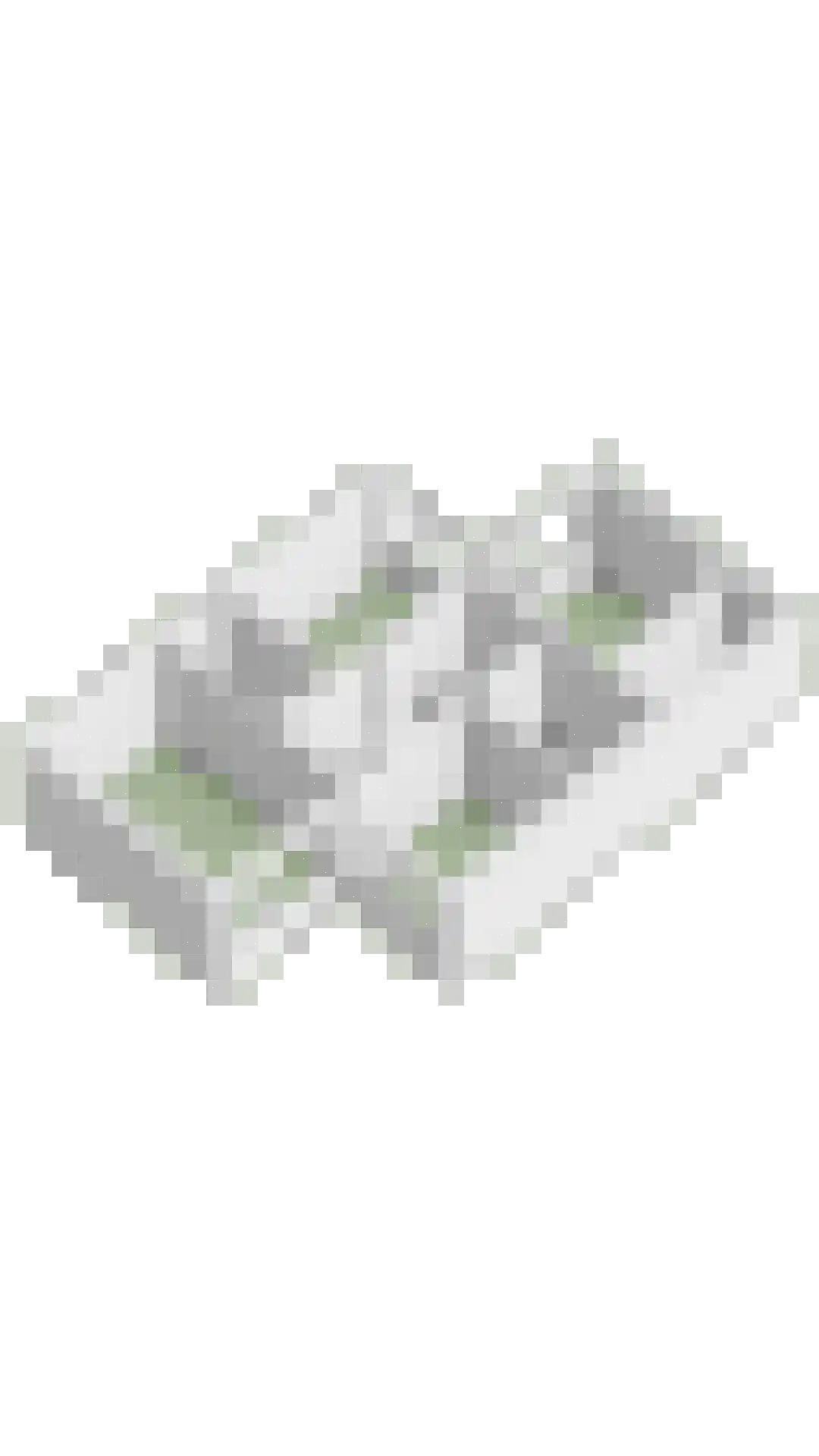 Rietdekkersdreef 320 Apeldoorn thumbnail 42