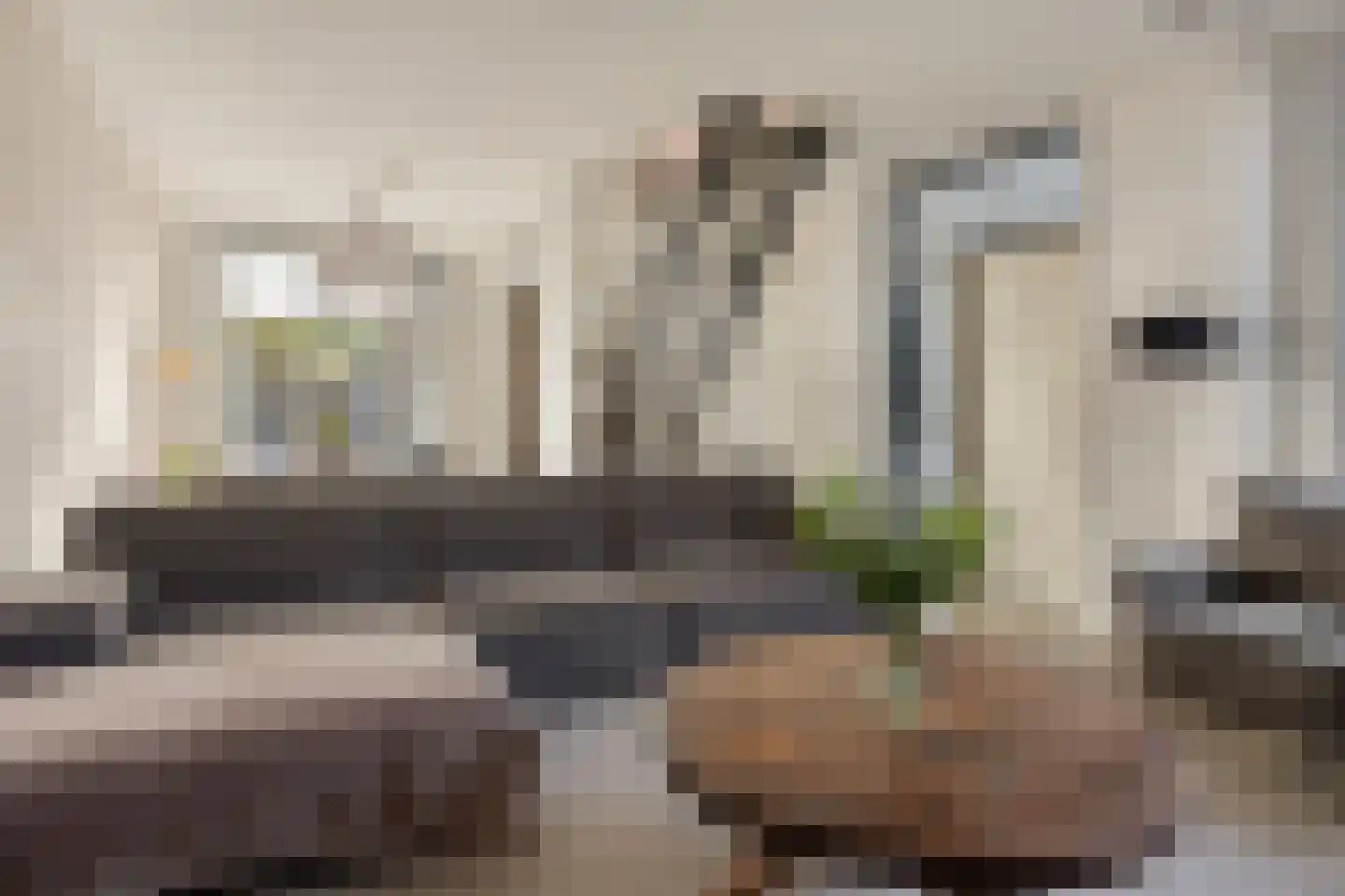 Rietdekkersdreef 320 Apeldoorn thumbnail 6