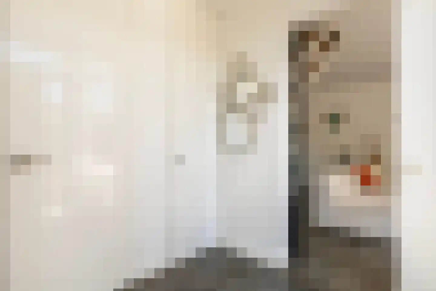 Rietdekkersdreef 321 Apeldoorn thumbnail 14