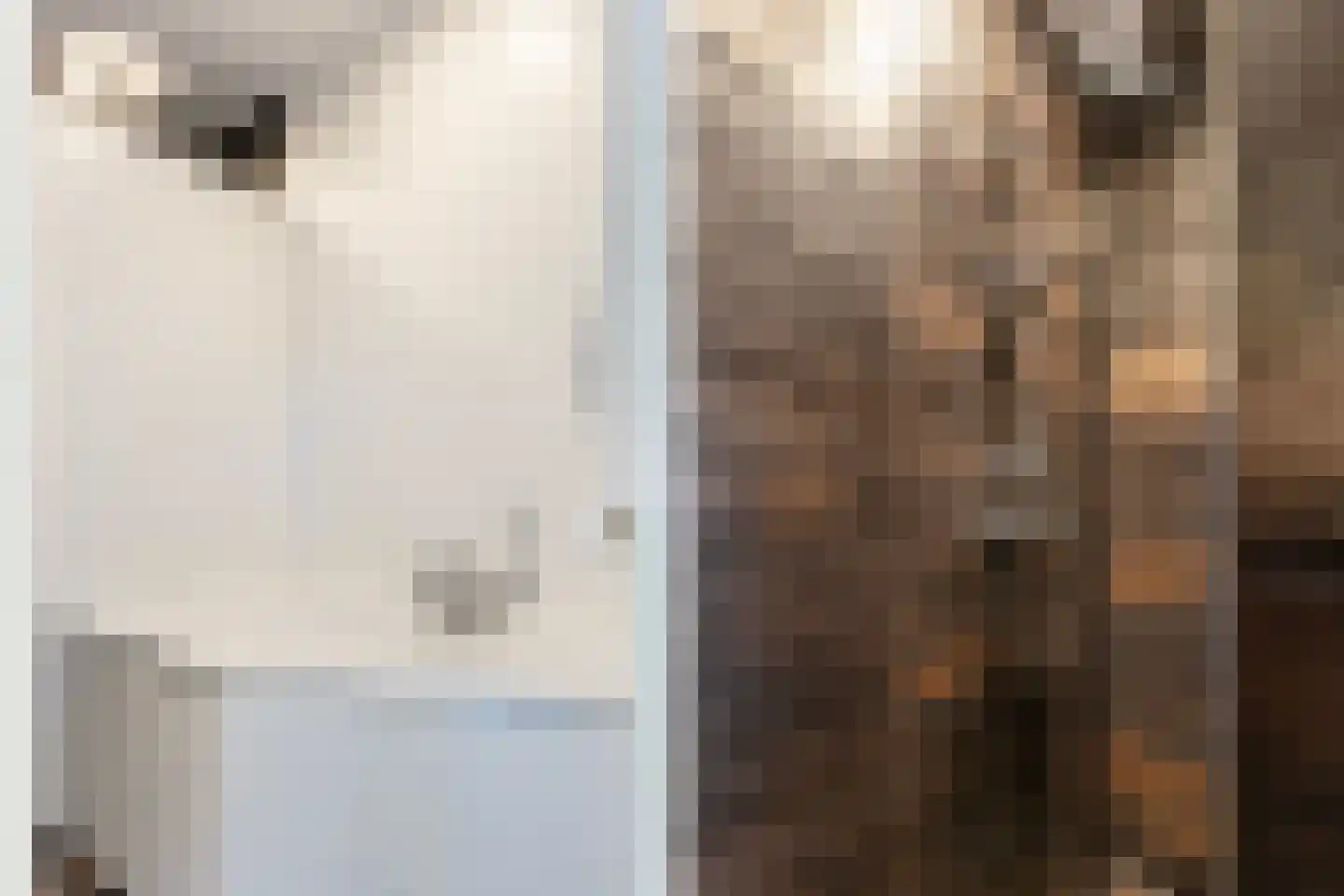 Rietdekkersdreef 321 Apeldoorn thumbnail 27