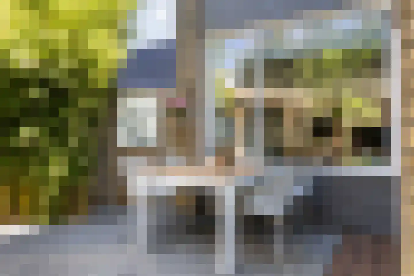 Rietdekkersdreef 321 Apeldoorn thumbnail 29