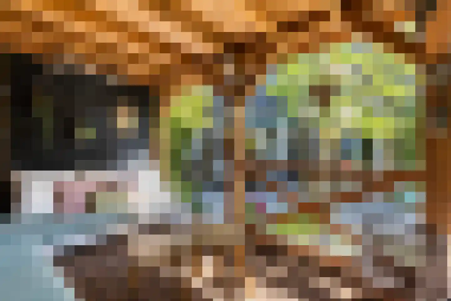 Rietdekkersdreef 321 Apeldoorn thumbnail 32