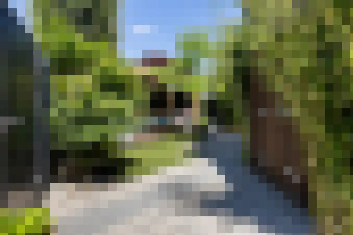 Rietdekkersdreef 321 Apeldoorn thumbnail 34