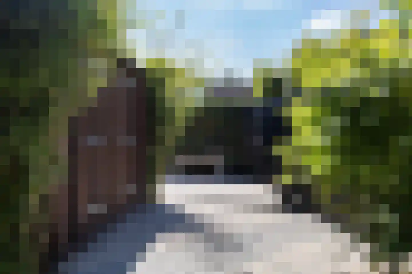 Rietdekkersdreef 321 Apeldoorn thumbnail 35
