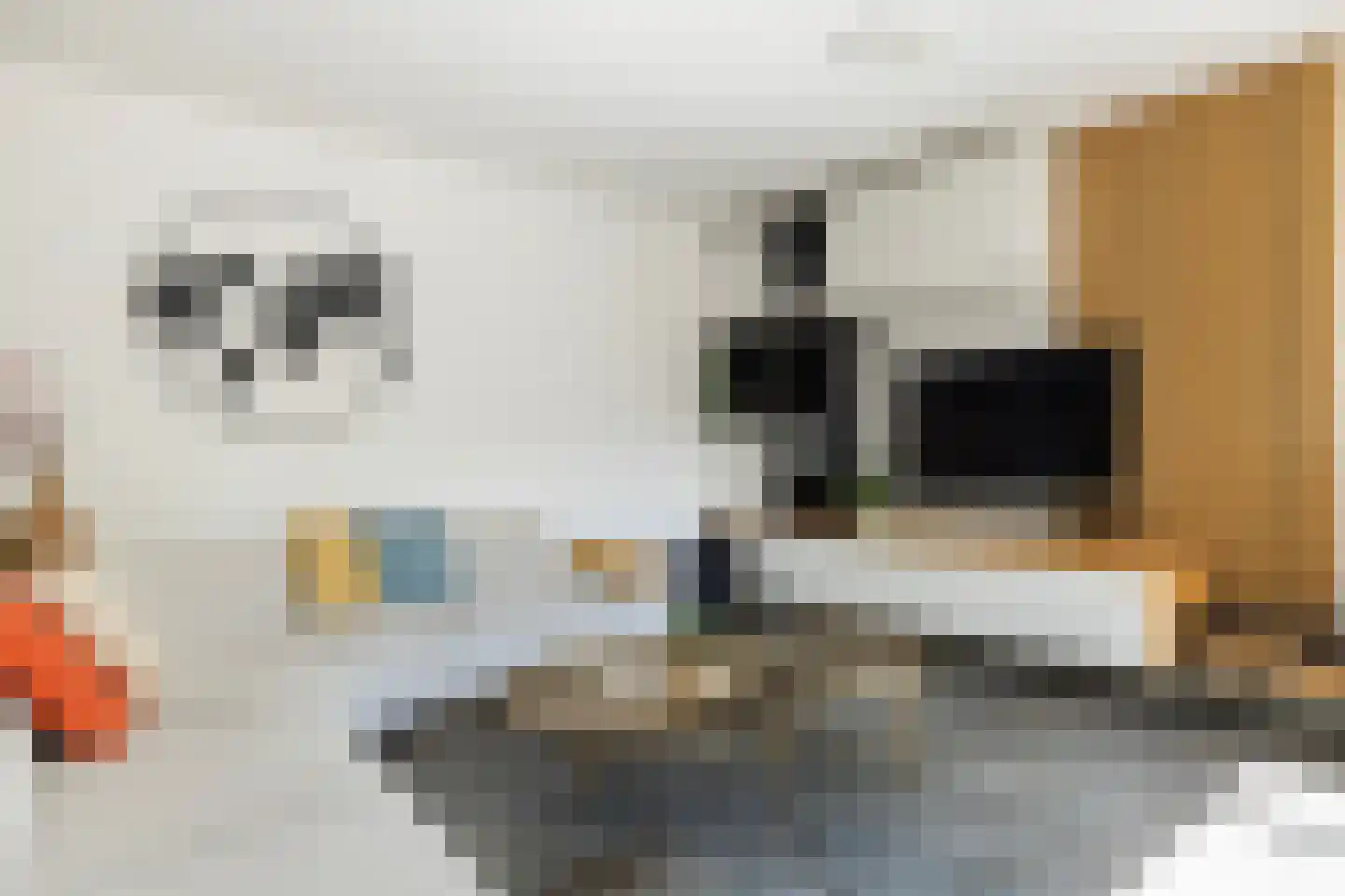 Rietdekkersdreef 321 Apeldoorn thumbnail 4