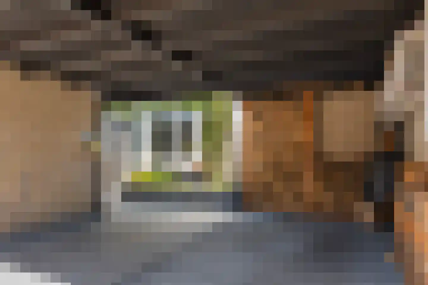 Rietdekkersdreef 321 Apeldoorn thumbnail 43