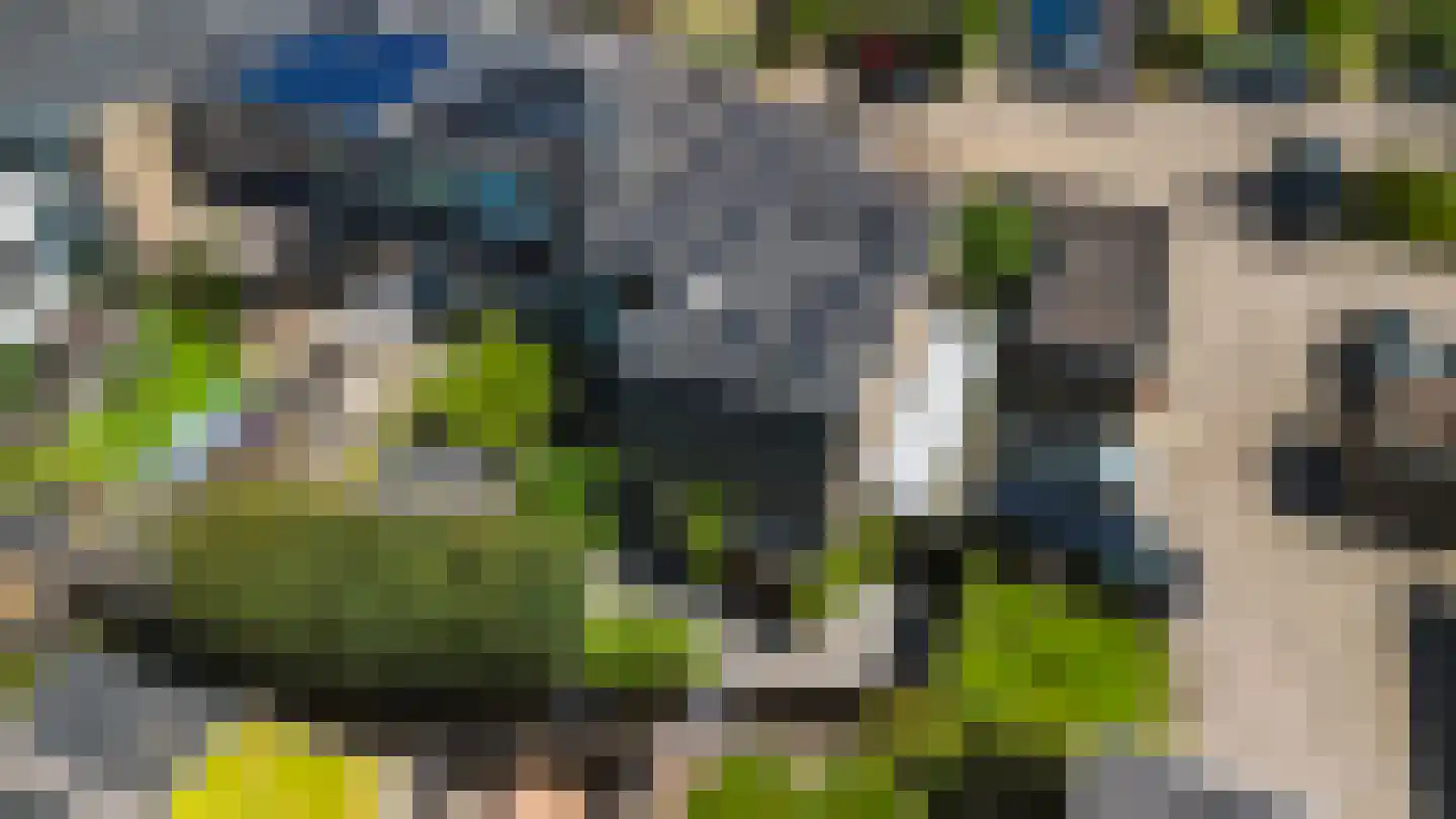 Rietdekkersdreef 321 Apeldoorn thumbnail 45