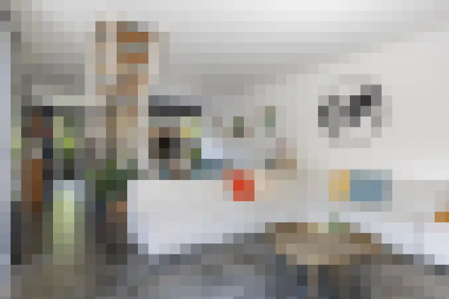 Rietdekkersdreef 321 Apeldoorn thumbnail 5