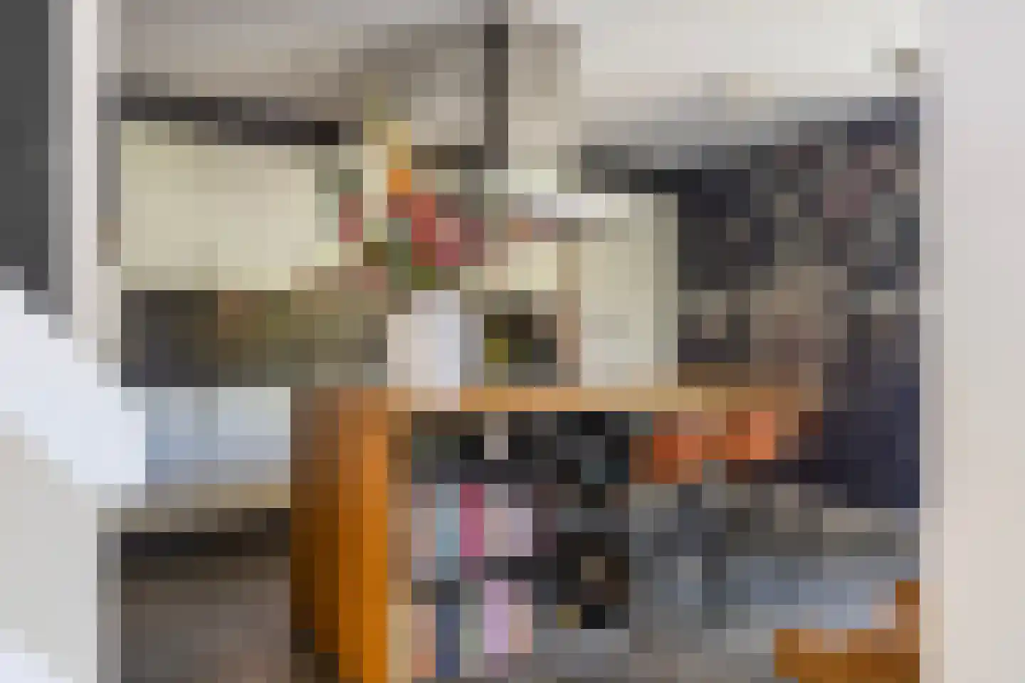 Rietdekkersdreef 321 Apeldoorn thumbnail 8