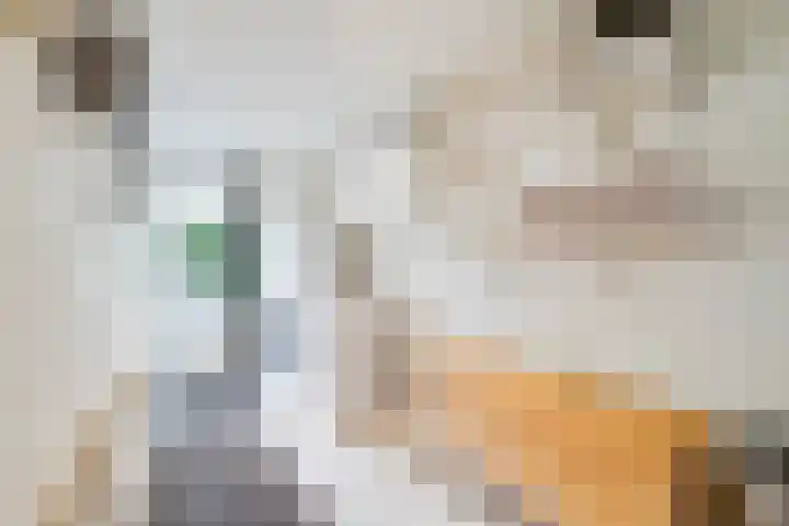 Rietdekkersdreef 402 Apeldoorn thumbnail 10