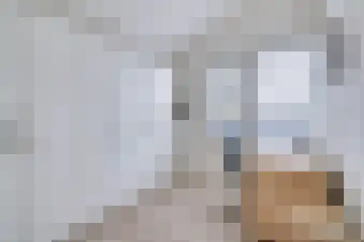 Rietdekkersdreef 402 Apeldoorn thumbnail 12