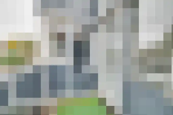 Rietdekkersdreef 402 Apeldoorn thumbnail 13