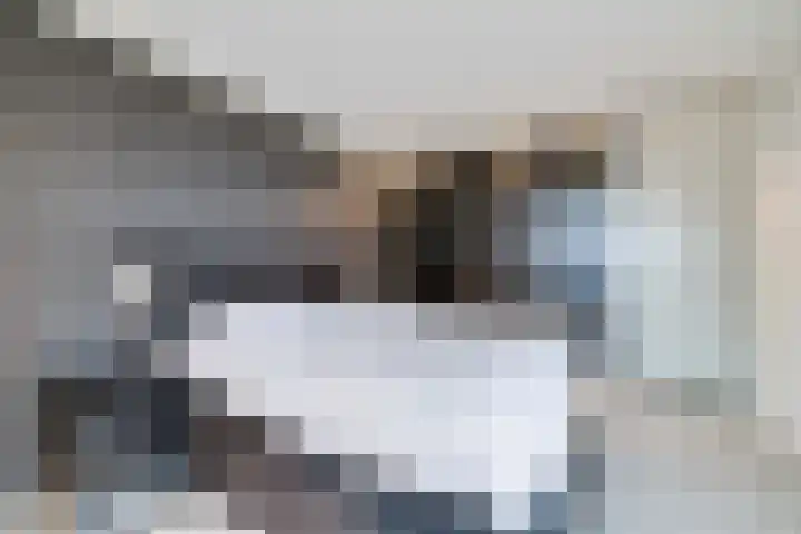 Rietdekkersdreef 402 Apeldoorn thumbnail 15