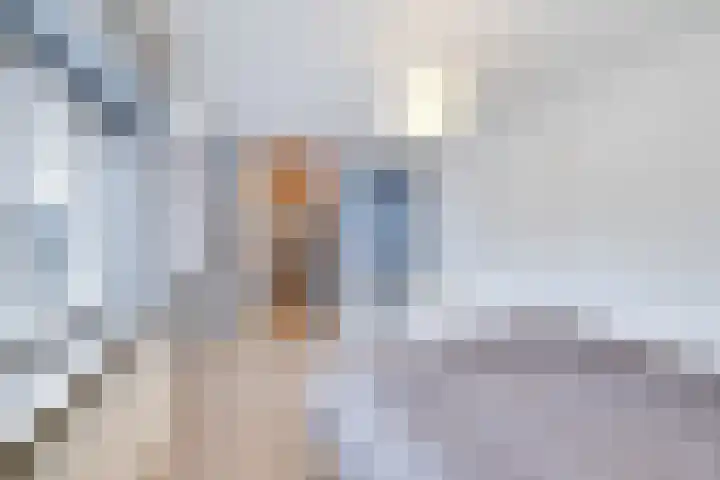 Rietdekkersdreef 402 Apeldoorn thumbnail 19