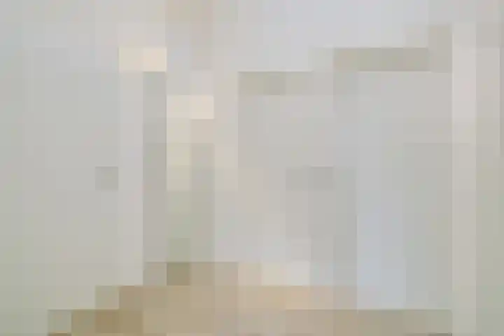 Rietdekkersdreef 402 Apeldoorn thumbnail 20