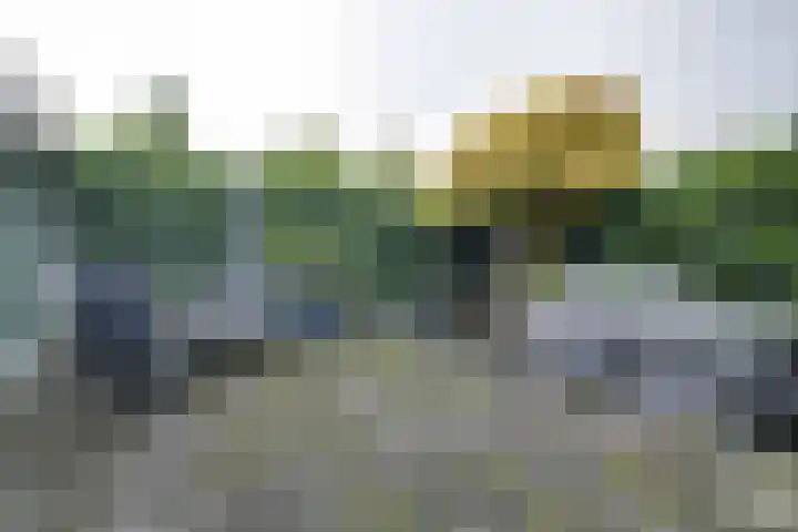 Rietdekkersdreef 402 Apeldoorn thumbnail 23
