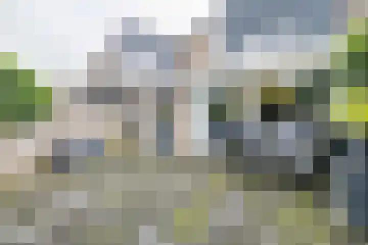 Rietdekkersdreef 402 Apeldoorn thumbnail 24