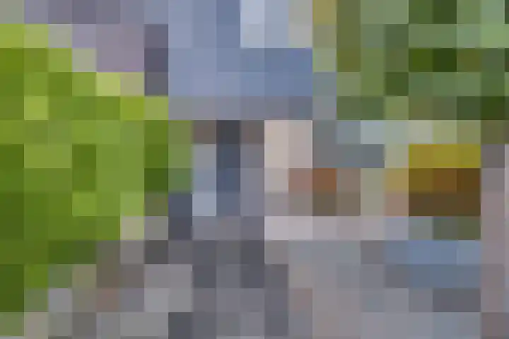 Rietdekkersdreef 402 Apeldoorn thumbnail 26