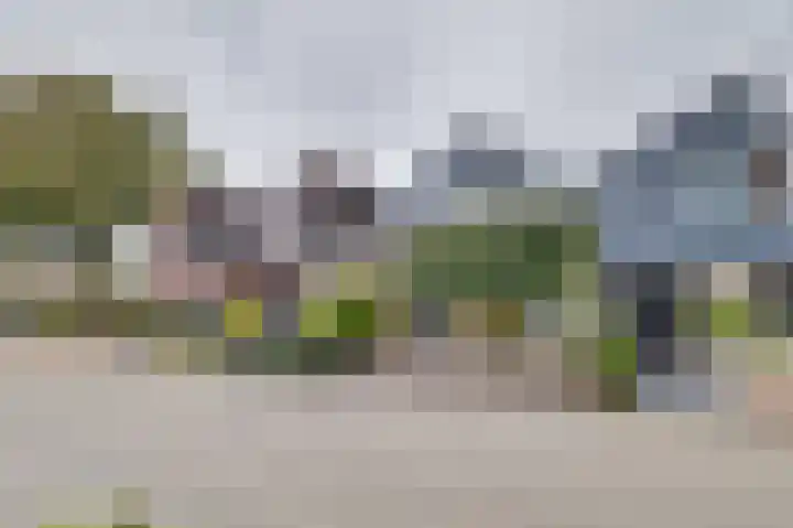 Rietdekkersdreef 402 Apeldoorn thumbnail 27