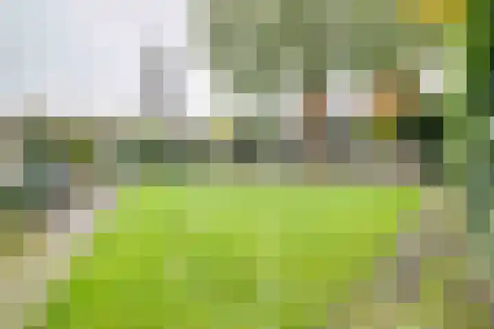 Rietdekkersdreef 402 Apeldoorn thumbnail 28