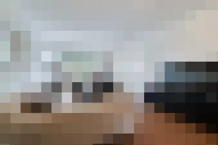 Rietdekkersdreef 402 Apeldoorn thumbnail 4