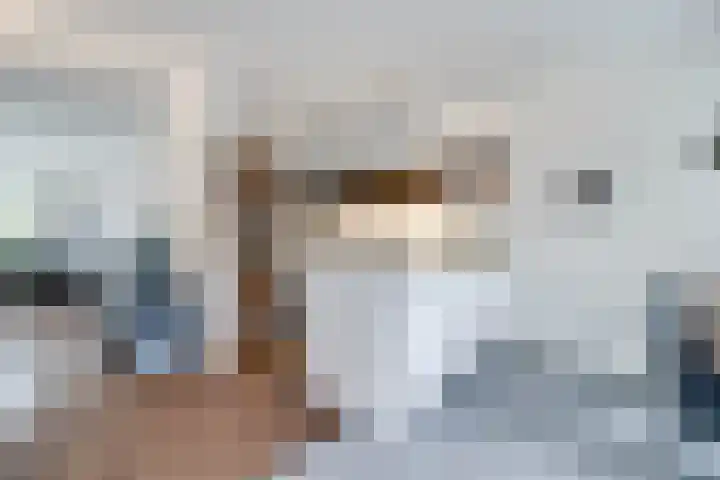 Rietdekkersdreef 402 Apeldoorn thumbnail 7
