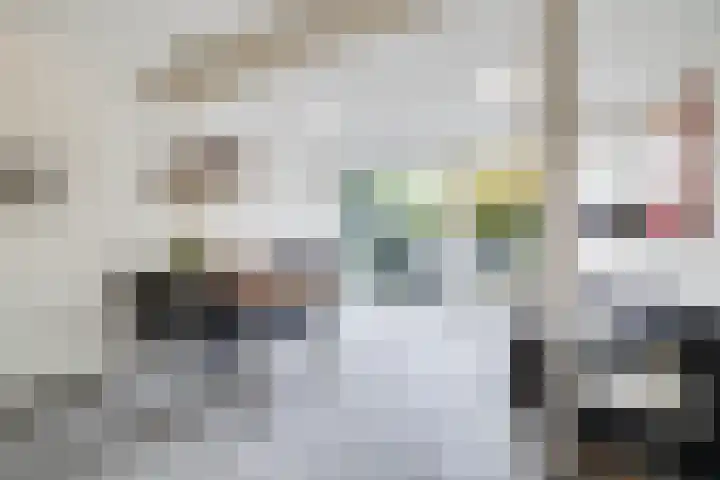Rietdekkersdreef 402 Apeldoorn thumbnail 9