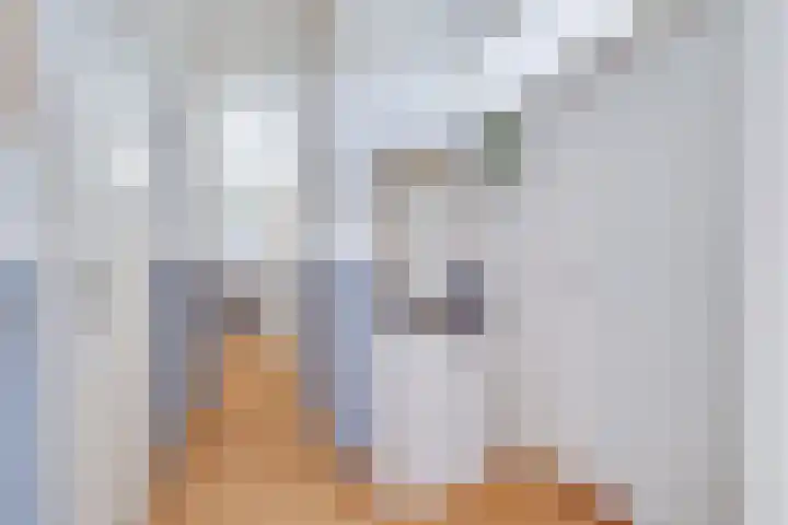 Rietdekkersdreef 409 Apeldoorn thumbnail 12