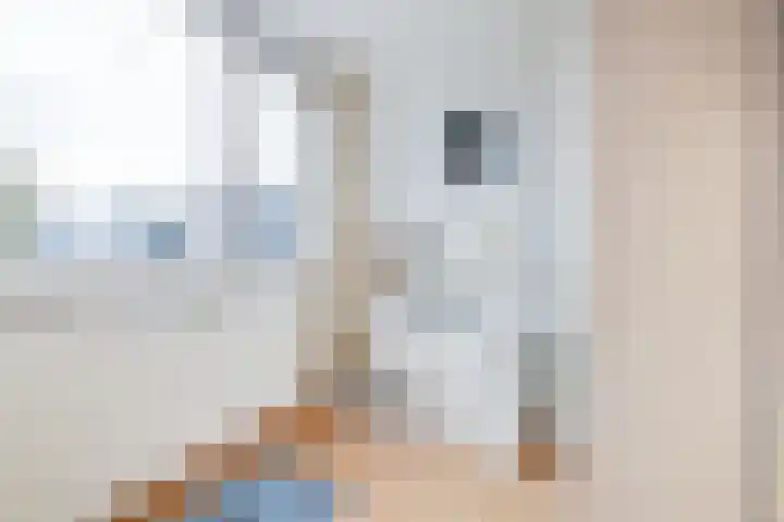 Rietdekkersdreef 409 Apeldoorn thumbnail 17