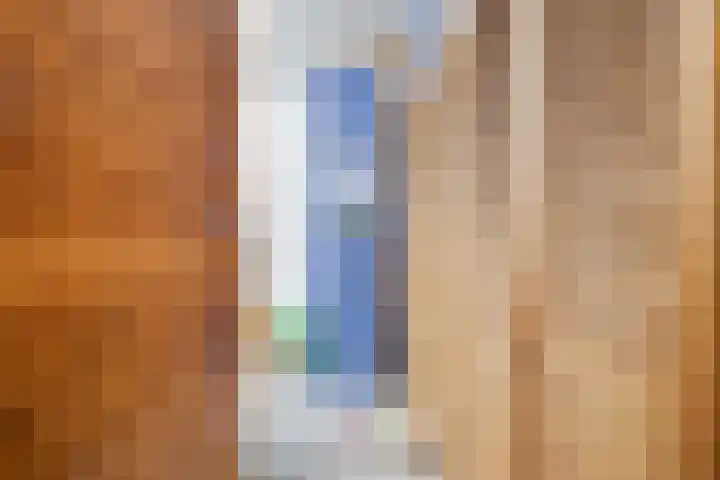 Rietdekkersdreef 409 Apeldoorn thumbnail 23