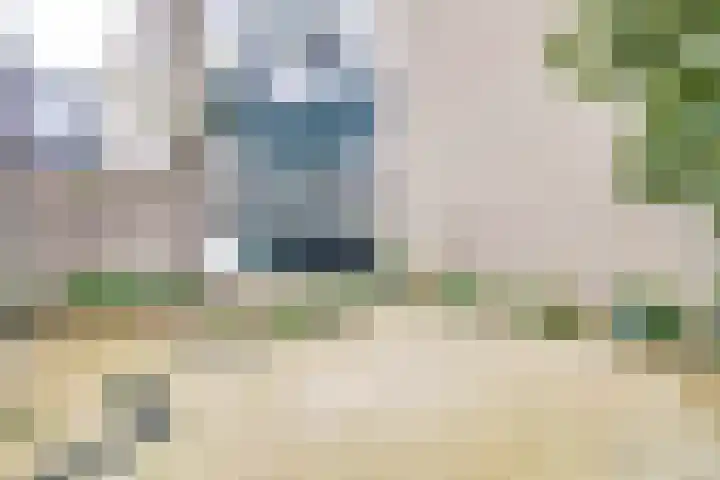 Rietdekkersdreef 409 Apeldoorn thumbnail 24