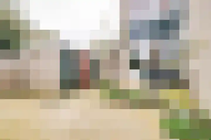 Rietdekkersdreef 409 Apeldoorn thumbnail 25