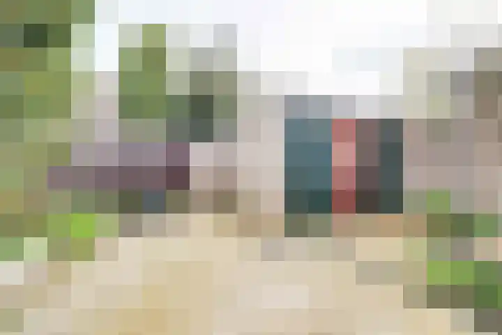 Rietdekkersdreef 409 Apeldoorn thumbnail 26