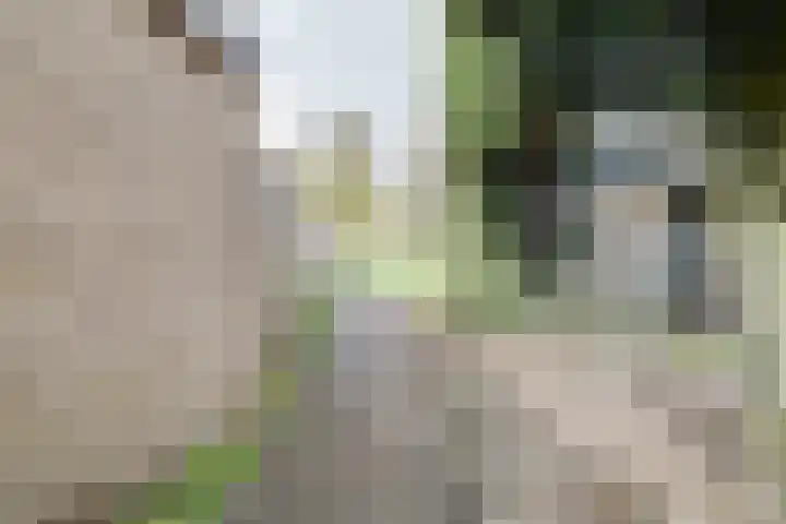 Rietdekkersdreef 409 Apeldoorn thumbnail 28