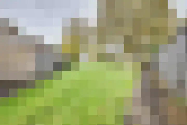 Rietdekkersdreef 409 Apeldoorn thumbnail 29