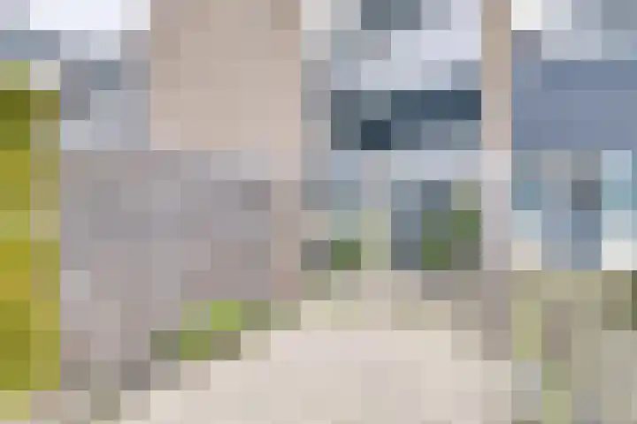 Rietdekkersdreef 409 Apeldoorn thumbnail 30