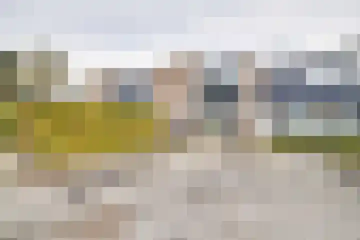 Rietdekkersdreef 409 Apeldoorn thumbnail 31
