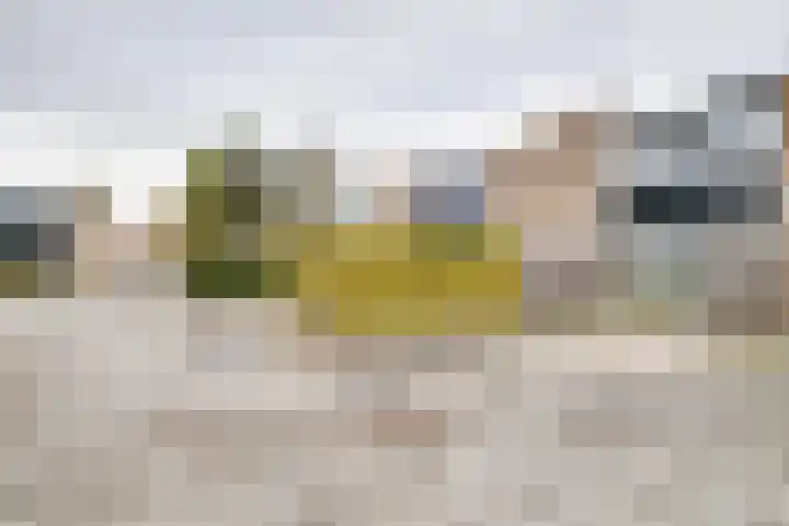 Rietdekkersdreef 409 Apeldoorn thumbnail 32