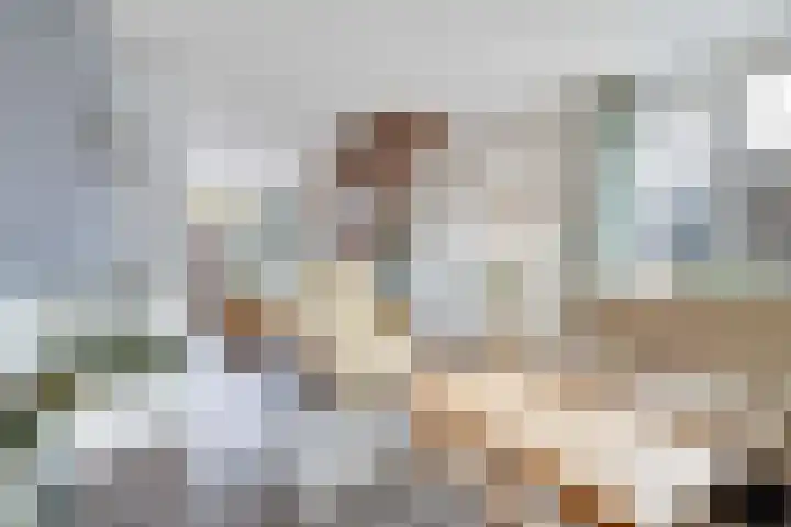 Rietdekkersdreef 409 Apeldoorn thumbnail 4