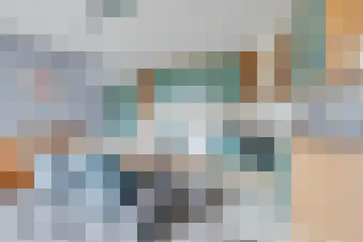 Rietdekkersdreef 409 Apeldoorn thumbnail 6