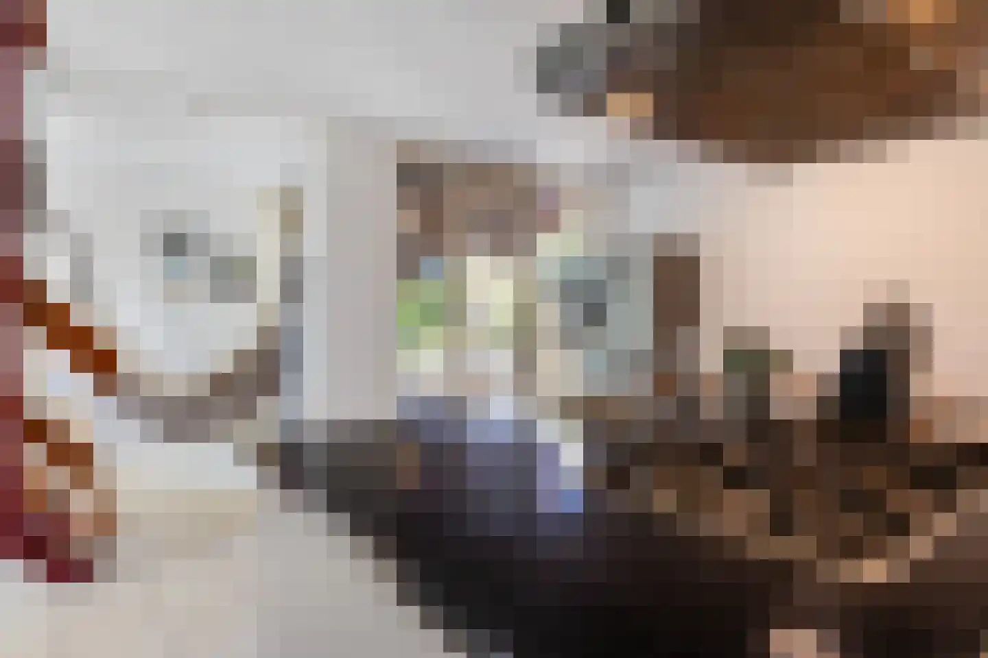 Rietdekkersdreef 412 Apeldoorn thumbnail 10