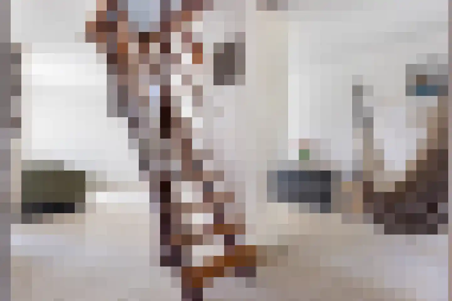 Rietdekkersdreef 412 Apeldoorn thumbnail 17