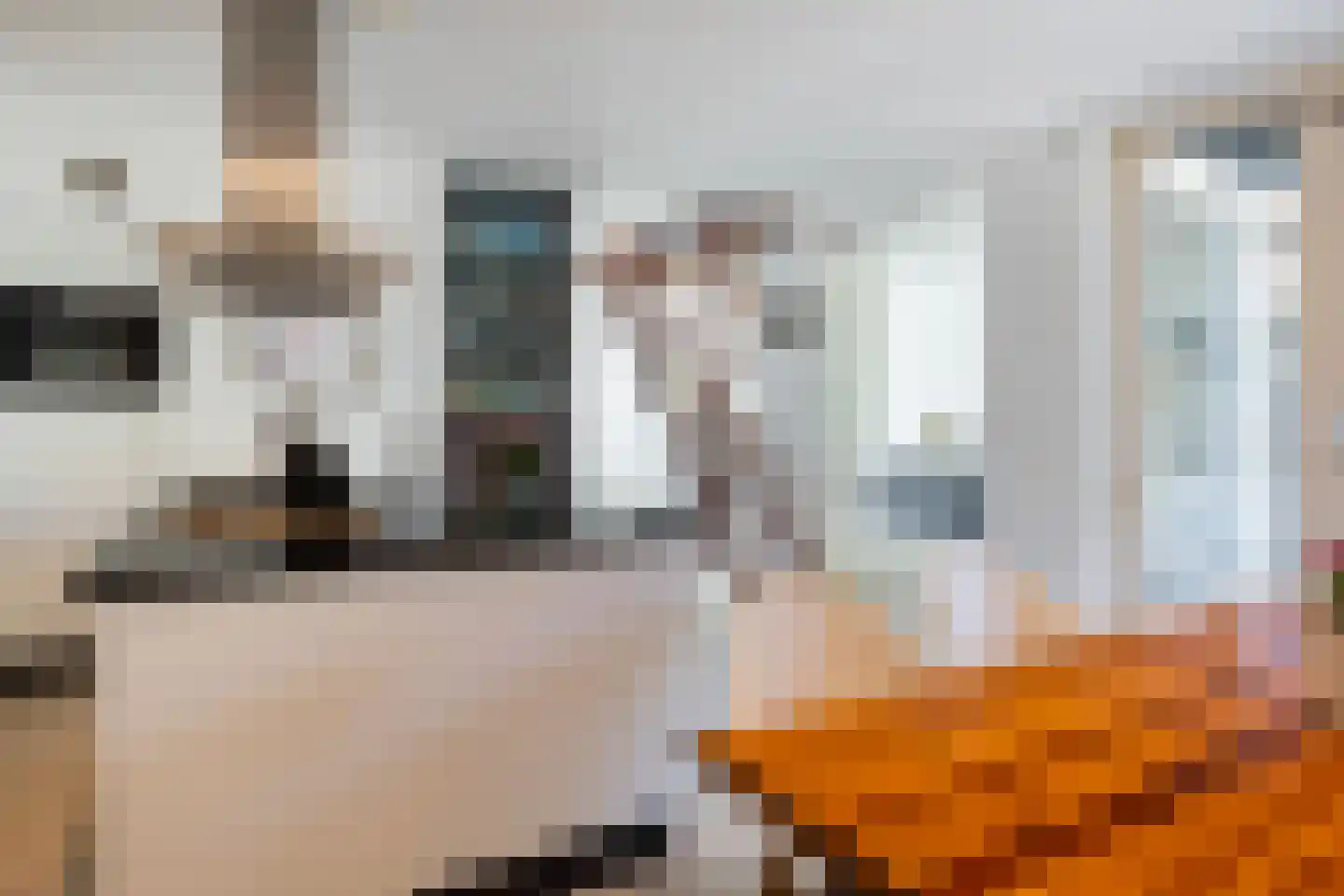 Rietdekkersdreef 412 Apeldoorn thumbnail 9
