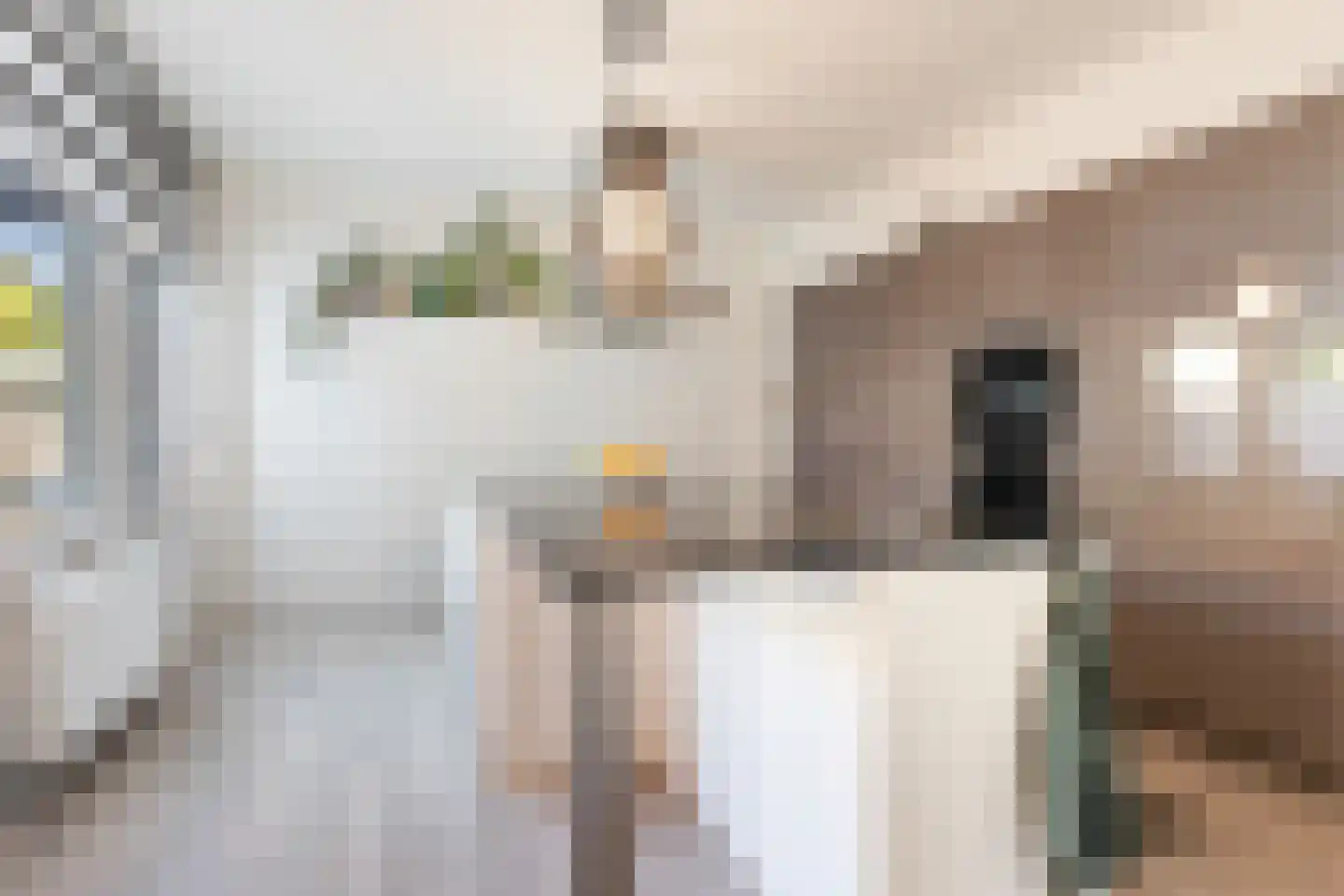 Rietdekkersdreef 528 Apeldoorn thumbnail 11