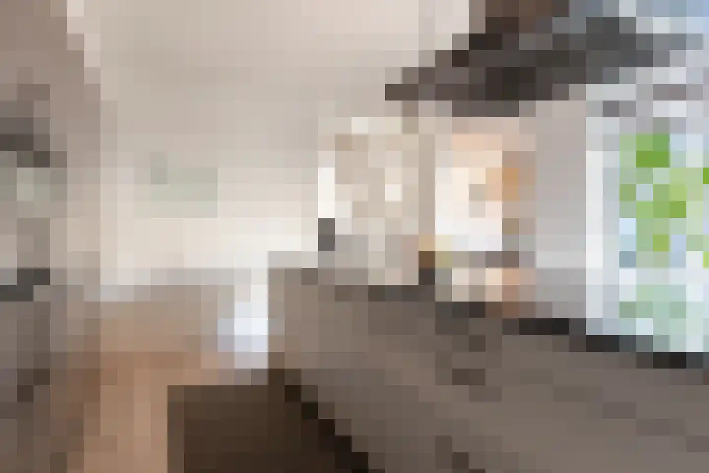 Rietdekkersdreef 528 Apeldoorn thumbnail 13