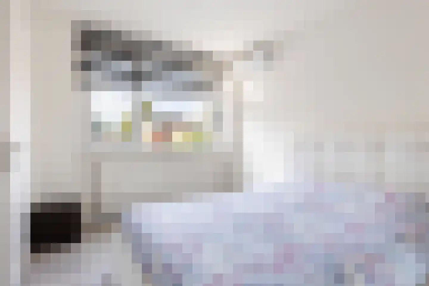 Rietdekkersdreef 528 Apeldoorn thumbnail 29